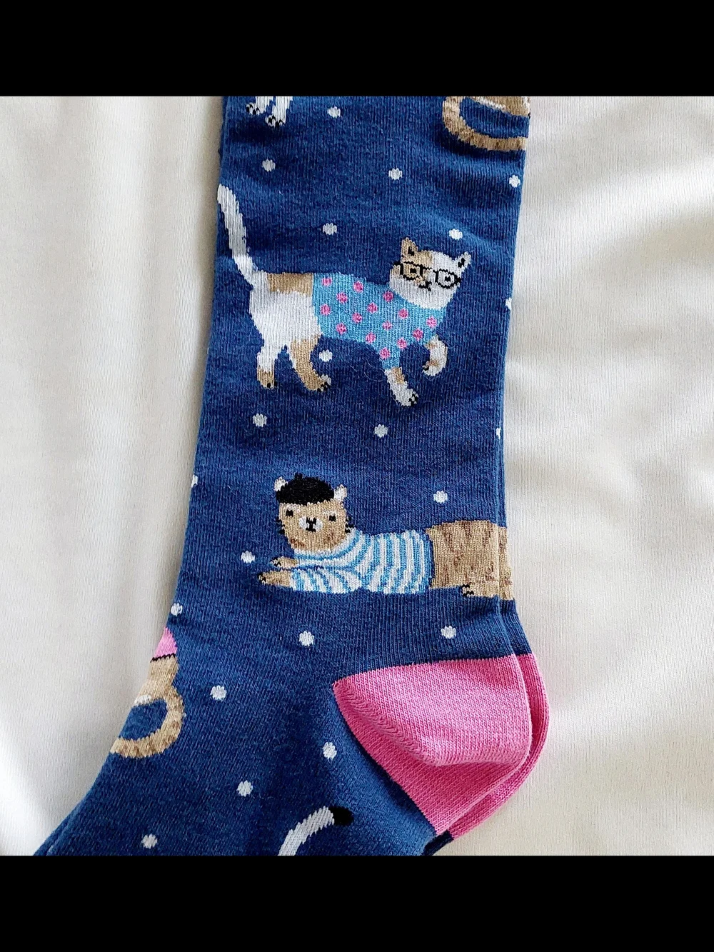 Cat Socks - Bundle Of 3 Pairs Including Grumpy Cat!